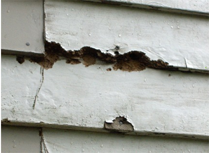 siding-02